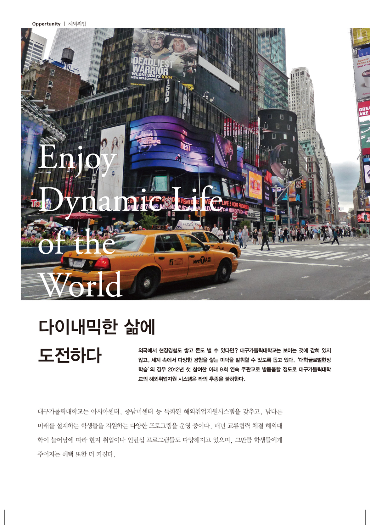 페이지