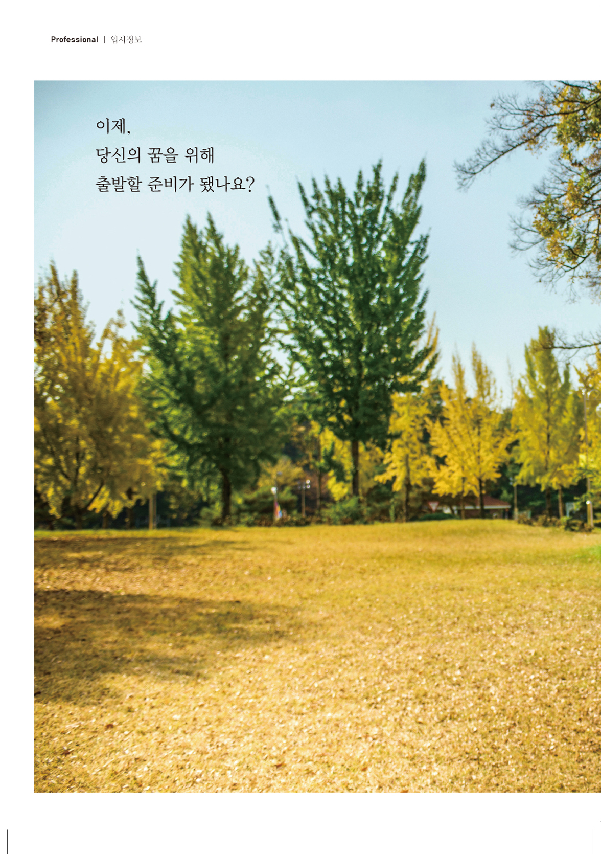 페이지